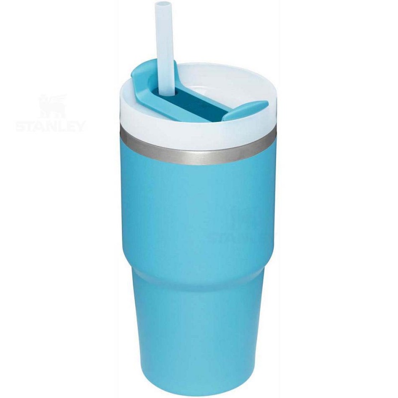 Stanley The Quencher H2.0 FlowState™ | 20 OZ Tumblers | USA_S1927