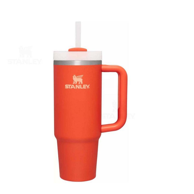 Stanley The Quencher H2.0 Flowstate™ | 30 OZ Tumblers | USA_S1131