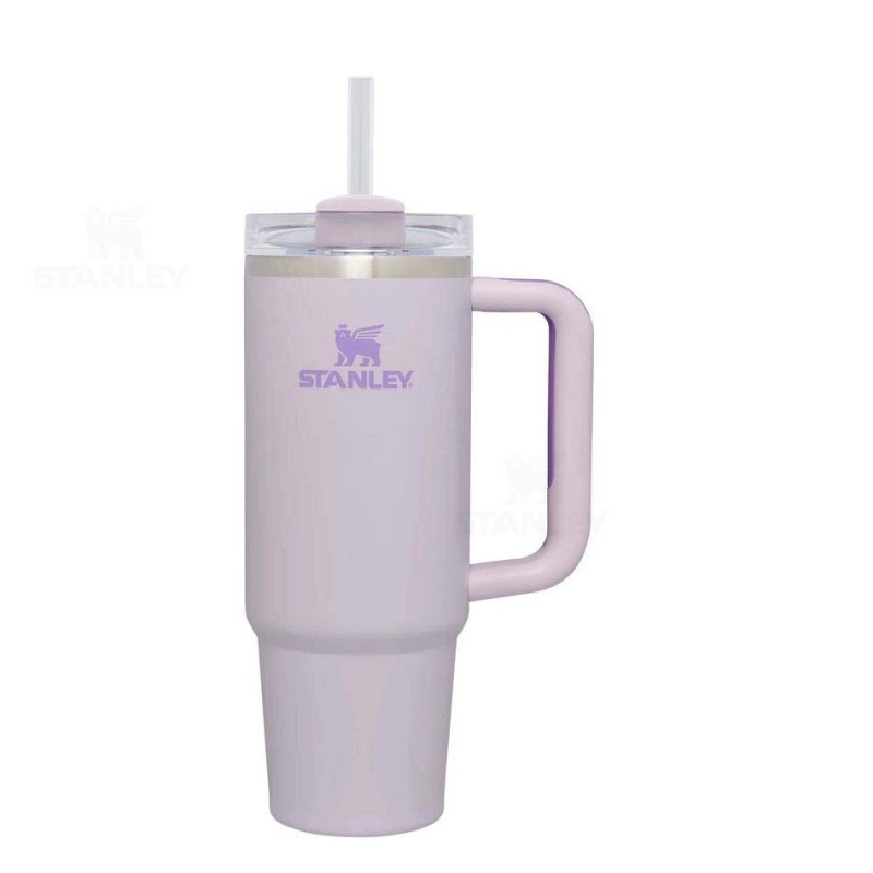 Stanley The Quencher H2.0 Flowstate™ | 30 OZ Tumblers | USA_S2155