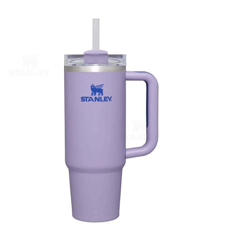 Stanley The Quencher H2.0 Flowstate™ | 30 OZ Tumblers | USA_S1167