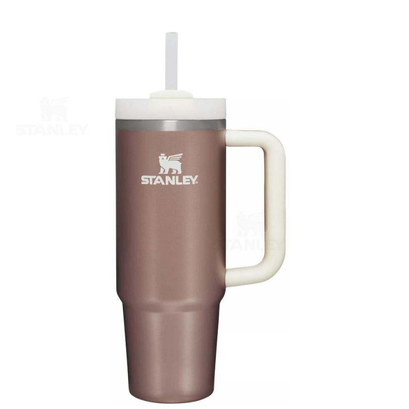 Stanley The Quencher H2.0 Flowstate™ | 30 OZ Tumblers | USA_S1977