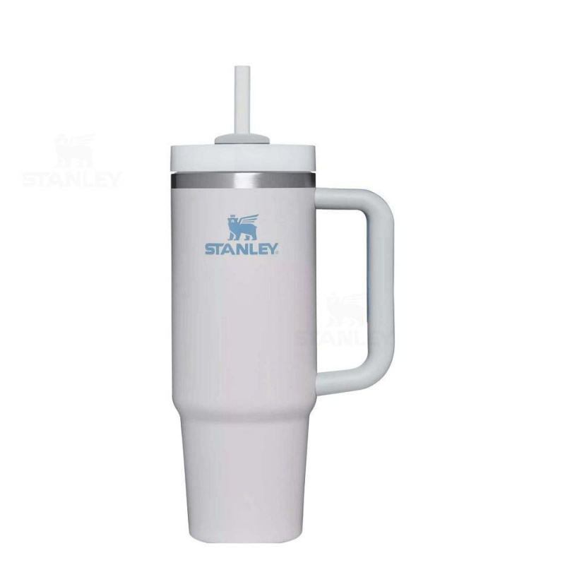 Stanley The Quencher H2.0 Flowstate™ | 30 OZ Tumblers | USA_S1496