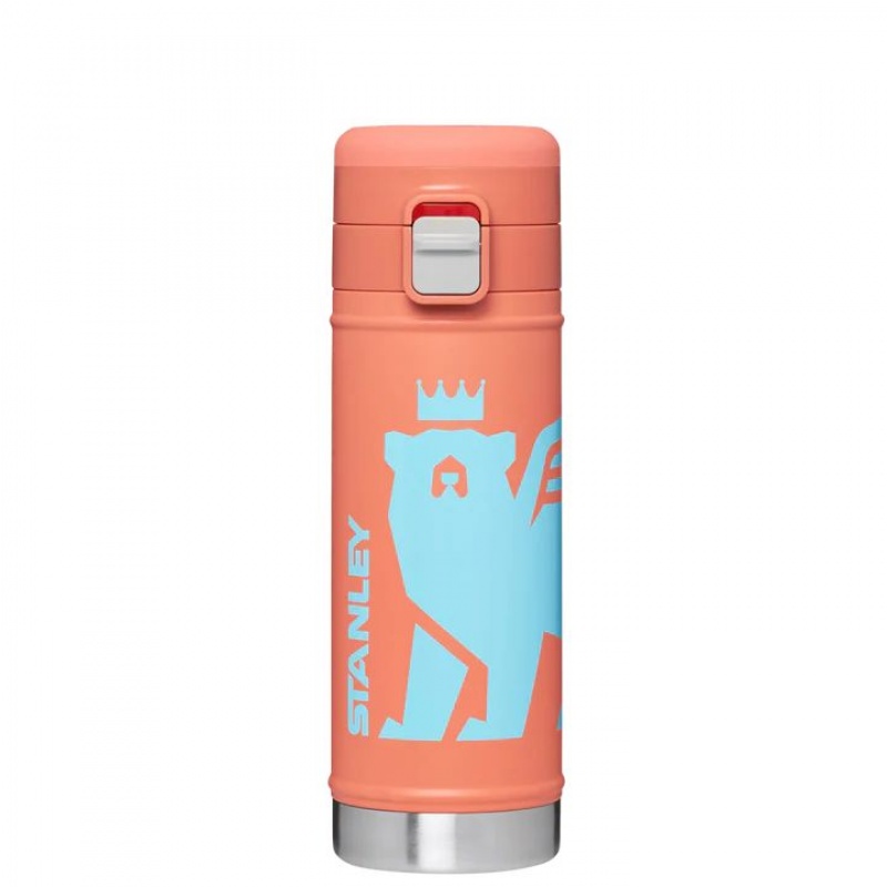 Stanley The Wild Imagination Flowsteady™ Big Bear | 17 OZ Water Bottles | USA_S1351