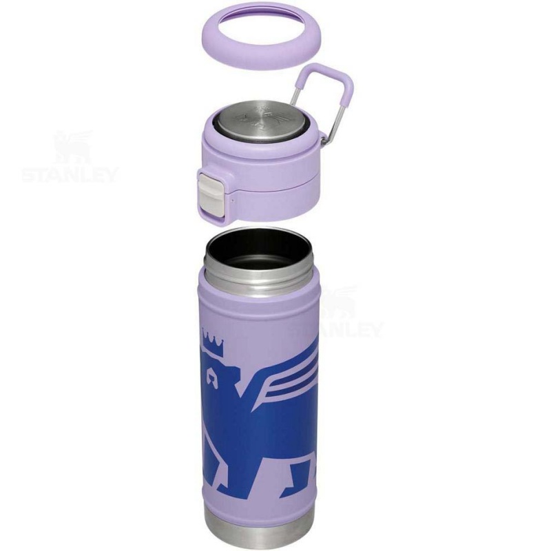 Stanley The Wild Imagination Flowsteady™ Big Bear | 17 OZ Water Bottles | USA_S1930