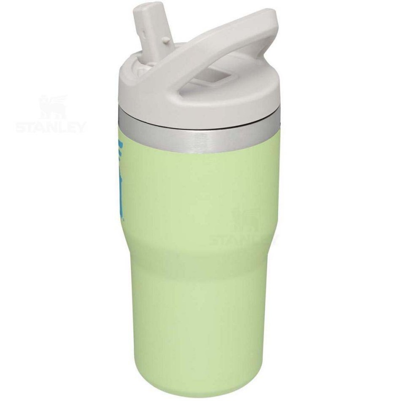 Stanley The Wild Imagination IceFlow™ Flip Straw | 20 OZ Tumblers | USA_S1486