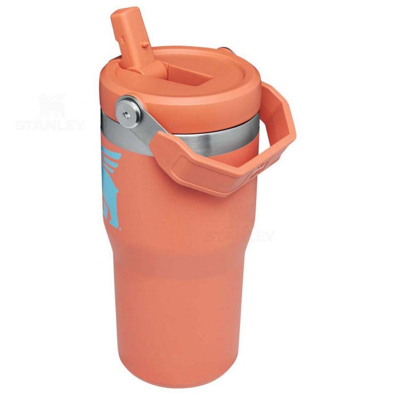 Stanley The Wild Imagination IceFlow™ Flip Straw | 20 OZ Water Bottles | USA_S2220