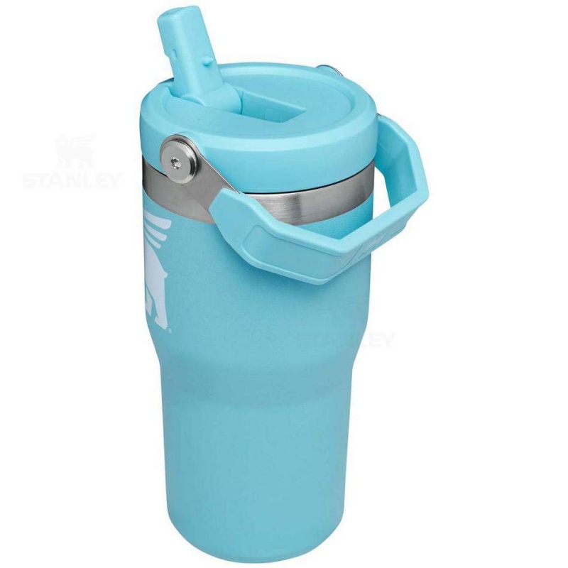 Stanley The Wild Imagination IceFlow™ Flip Straw | 20 OZ Water Bottles | USA_S1661